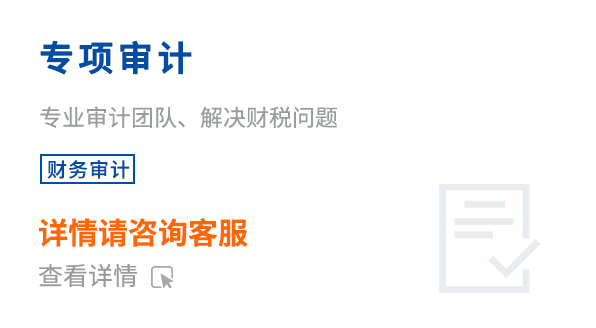 專項審計